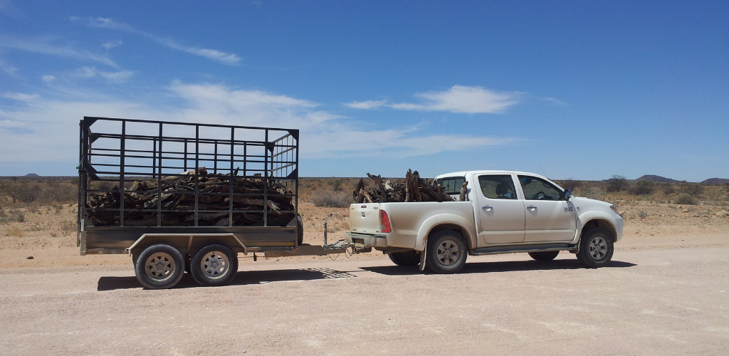 Accidental carrier pick up truck with trailer