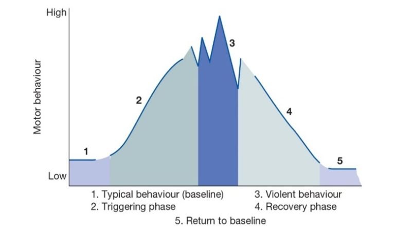 Bell curve graph of motor behaviour